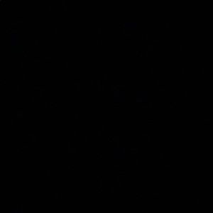 Meet your Posher, Maribel